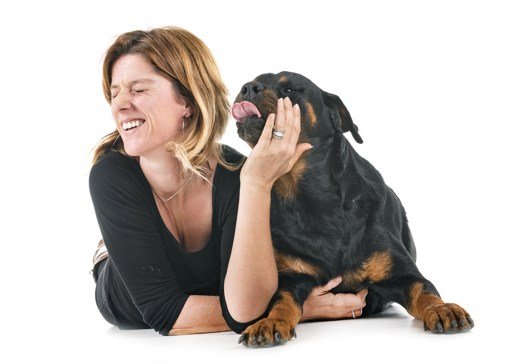 How Do Rottweilers Show Affection