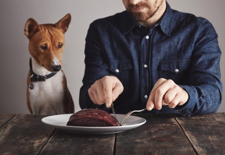 Can Dogs Have Roast Beef? - (Answered & Explained)