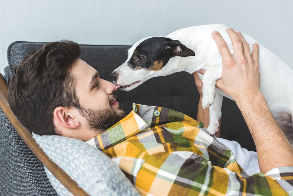 Why Does My Dog Lick Me More Than Anyone Else?