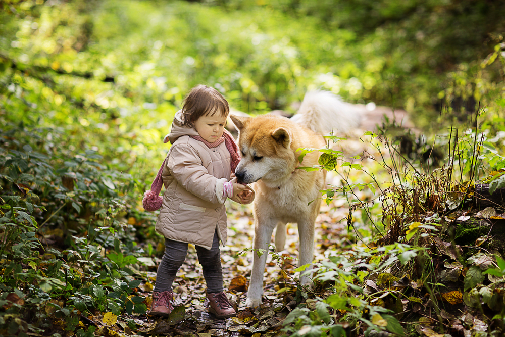 10 Dog Breeds That Bond With One Person