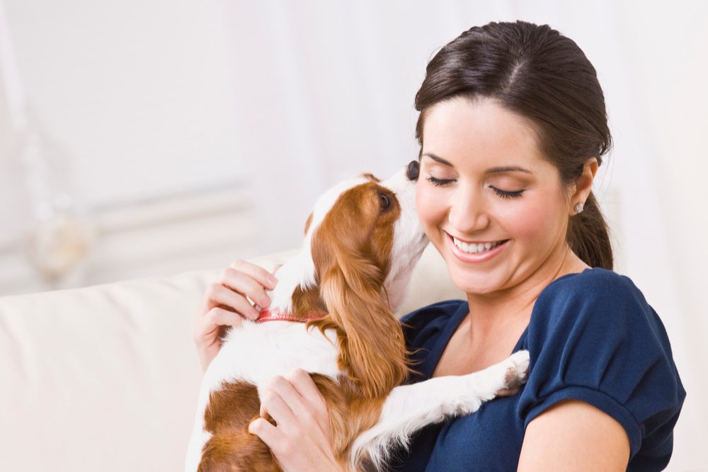 dog playfully nibbling person's ear