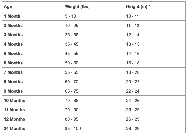 Female Great Pyrenees Weight and Height Chart