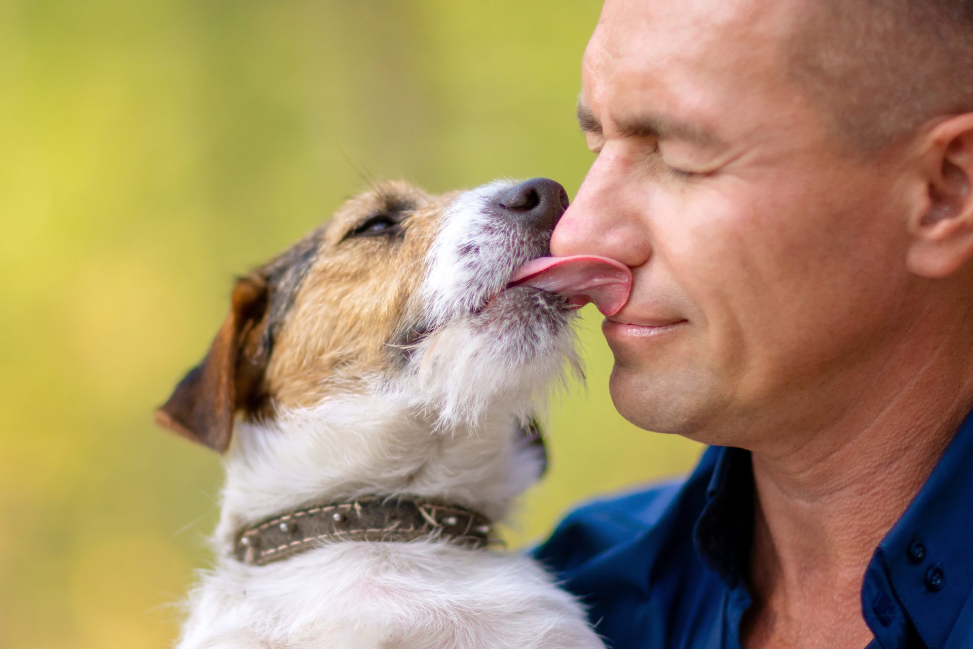 Почему собака облизывает человека. Поцелуй с собакой. Собака облизывает. Поцелуй собаки и человека. Собака облизывает лицо.