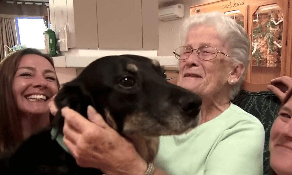 scout with nursing home residents