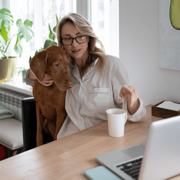 virtual dog training session with brown down and young woman